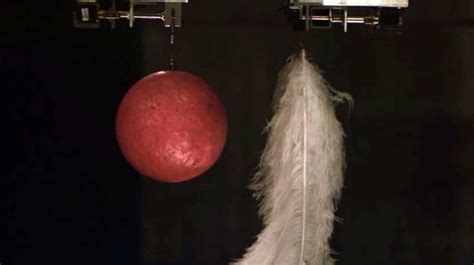 vacuum feather drop test|hammer feather drop.